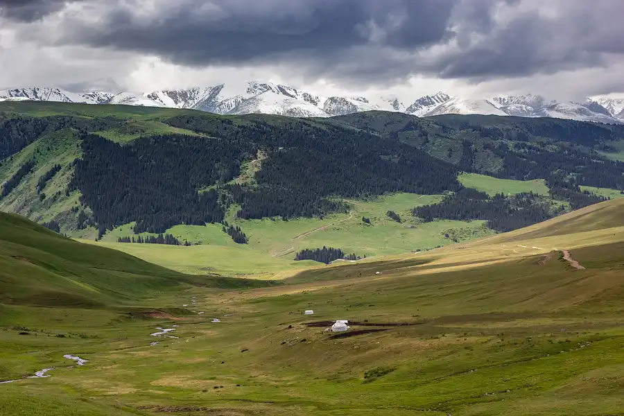 Assy Plateau